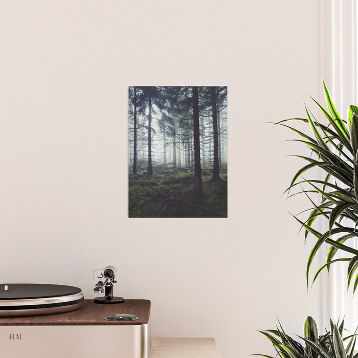 Through The Trees Poster Gallery Image 2