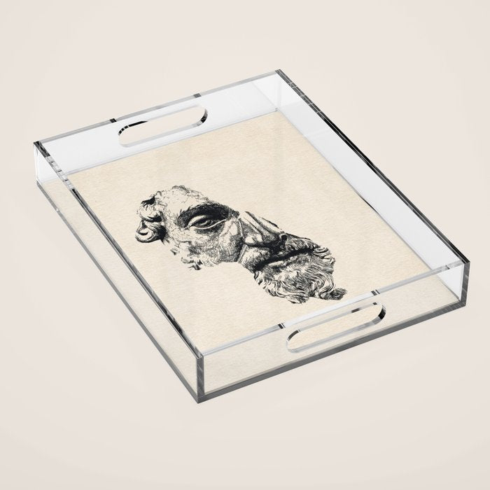MARCUS AURELIUS ANTONINUS AUGUSTUS / Ink Acrylic Tray Gallery Image 1