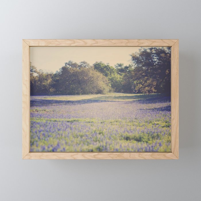 Bluebonnet Morning Mini Art Print Gallery Image 1