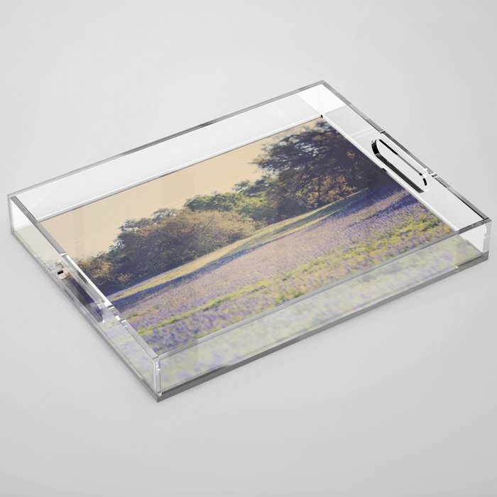 Bluebonnet Morning Acrylic Tray Gallery Image 1