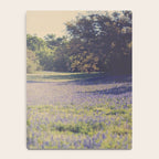 Bluebonnet Morning Notebook Gallery Image 4