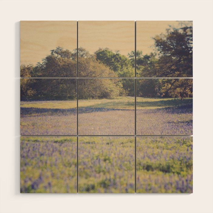 Bluebonnet Morning Wood Wall Art Gallery Image 1