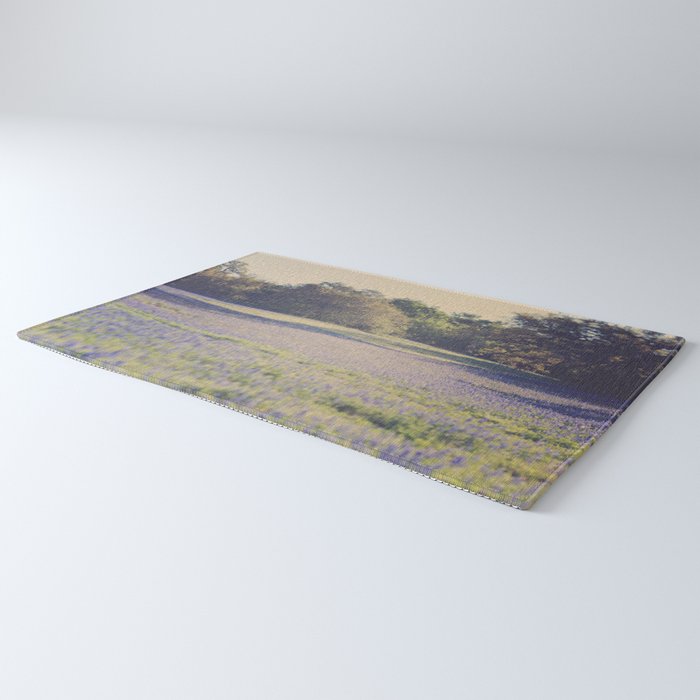Bluebonnet Morning Rug Gallery Image 3