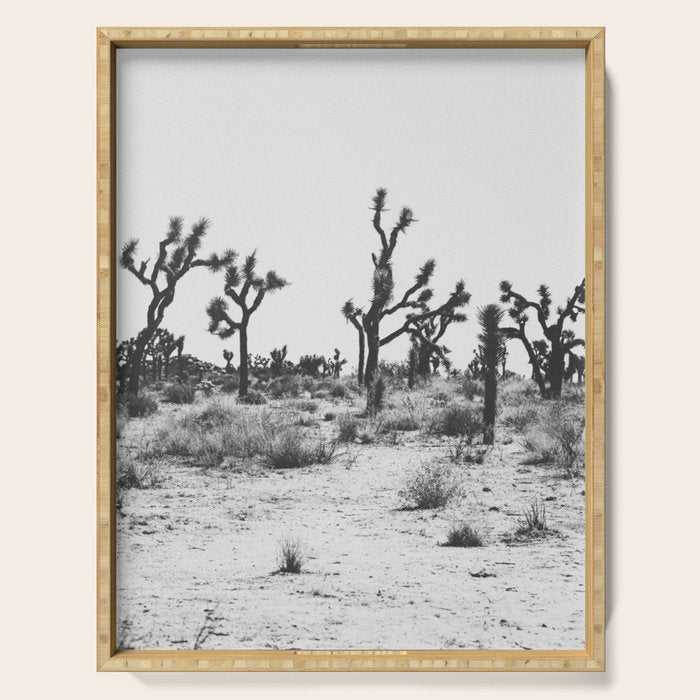 JOSHUA TREE IX / California Desert Serving Tray Gallery Image 1
