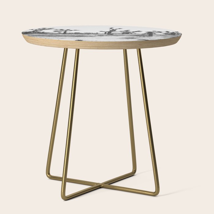 JOSHUA TREE IX / California Desert Side Table Gallery Image 1