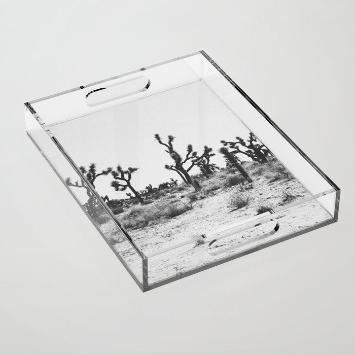 JOSHUA TREE IX / California Desert Acrylic Tray Gallery Image 1