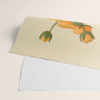 Tulip Bouquet Gift 7 Wrapping Paper Gallery Image 2