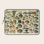 Vintage Scientific Illustration Fruits Botanical Floral Lithograph Encyclopaedia Diagrams  Laptop Sleeve Gallery Image 1
