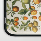 Vintage Scientific Illustration Fruits Botanical Floral Lithograph Encyclopaedia Diagrams  Laptop Sleeve Gallery Image 3