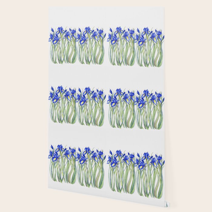 Blue Iris, Illustration Wallpaper Gallery Image 2