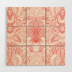 Beach treasures in coral red  Wood Wall Art Gallery Image 1