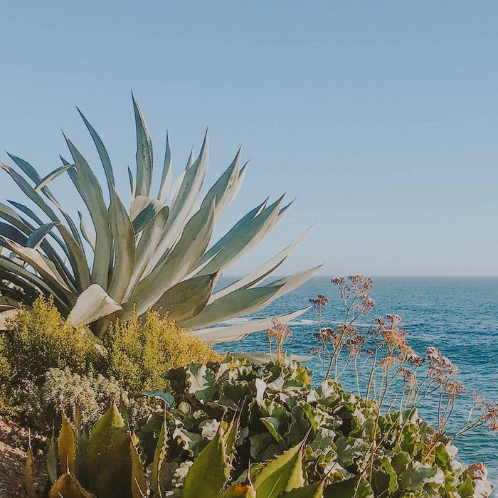 california coast xiii / laguna beach Coffee Mug Gallery Image 2