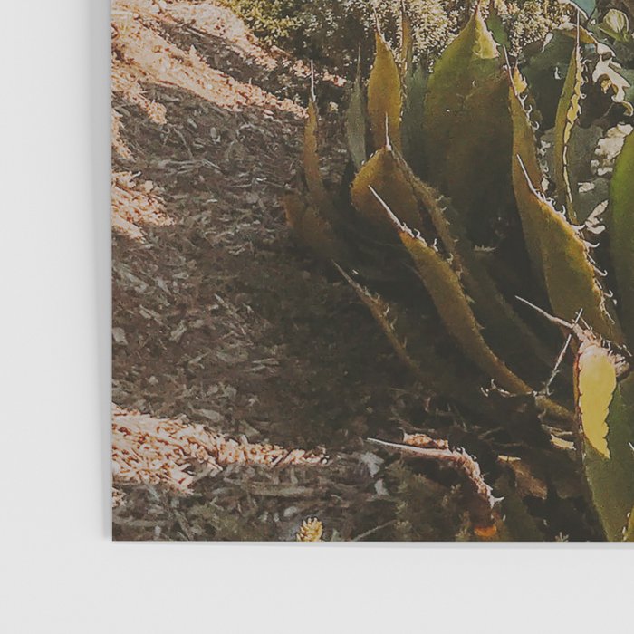 california coast xiii / laguna beach Poster Gallery Image 3