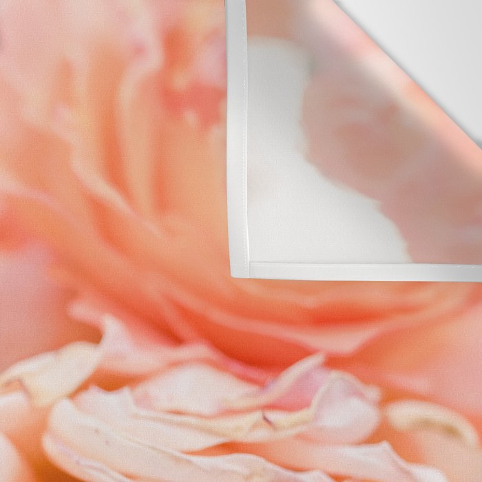 Coral Roses | Ostuni botanical garden photography | Puglia Italy Wall Tapestry Gallery Image 3