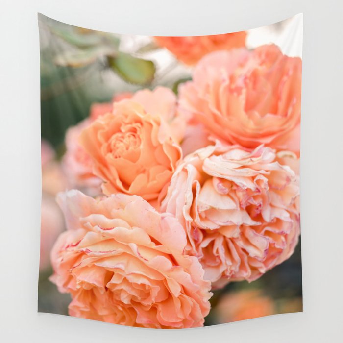 Coral Roses | Ostuni botanical garden photography | Puglia Italy Wall Tapestry Gallery Image 4