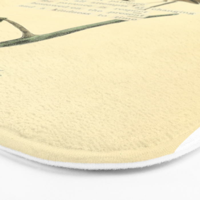 Bird Divinations: Dwarf Thrush (about: almanacofbirds.org) Bath Mat Gallery Image 3