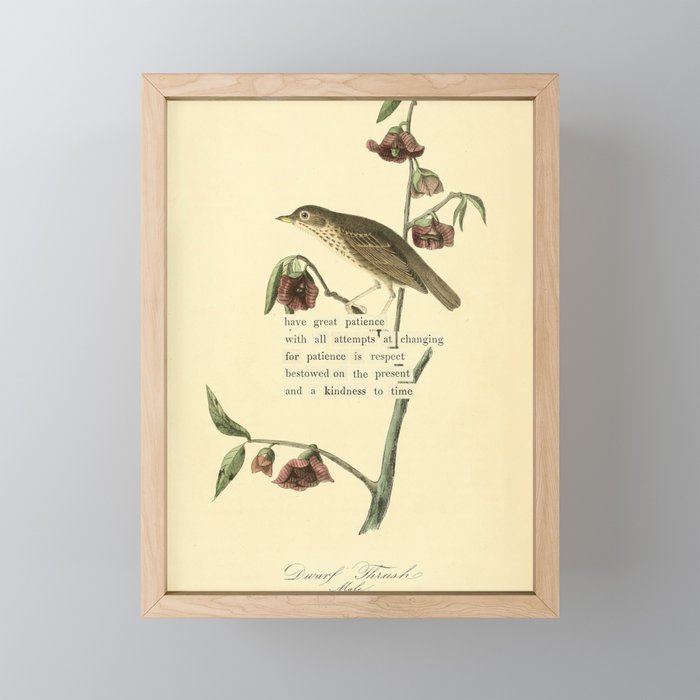 Bird Divinations: Dwarf Thrush (about: almanacofbirds.org) Mini Art Print Gallery Image 1