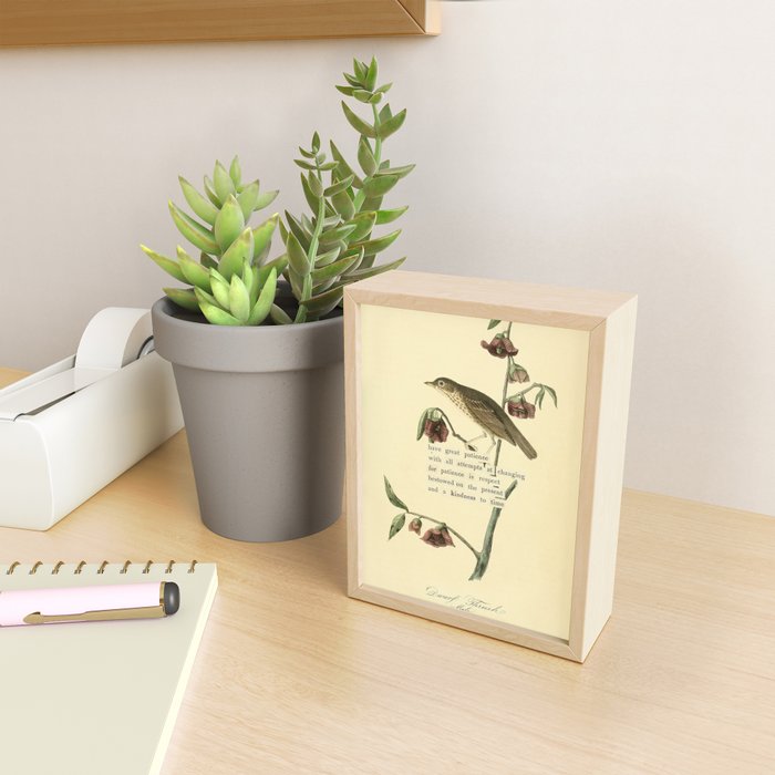 Bird Divinations: Dwarf Thrush (about: almanacofbirds.org) Mini Art Print Gallery Image 2