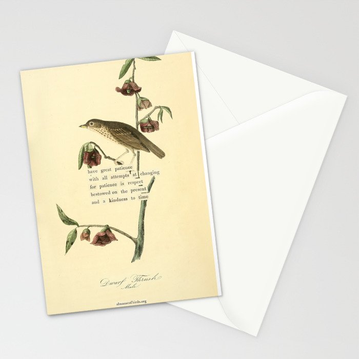 Bird Divinations: Dwarf Thrush (about: almanacofbirds.org) Stationery Card Gallery Image 2