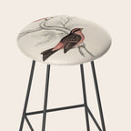 Pink-browed rosefinch and spot-winged rosefinch by Elizabeth Gould, 1831 Stool Gallery Image 2