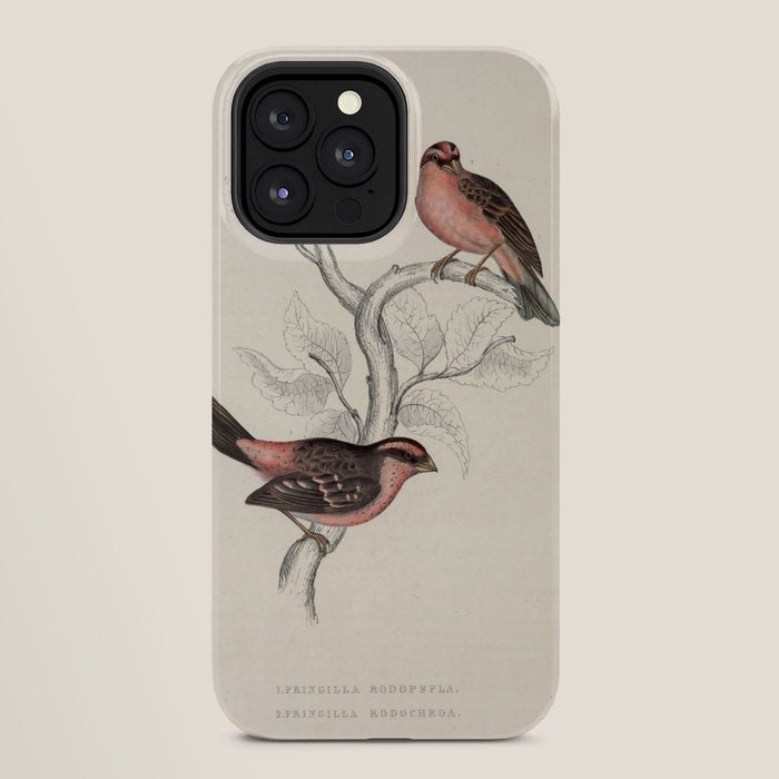 Pink-browed rosefinch and spot-winged rosefinch by Elizabeth Gould, 1831 iPhone Case Gallery Image 28
