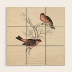 Pink-browed rosefinch and spot-winged rosefinch by Elizabeth Gould, 1831 Wood Wall Art Gallery Image 1