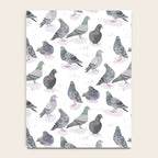 Pigeon Party Notebook Gallery Image 4