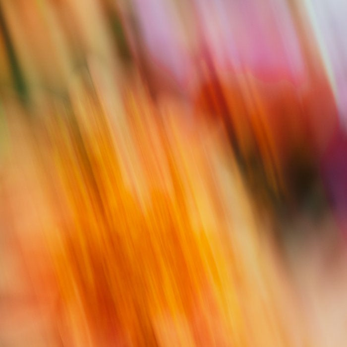 Moving Flowers | Abstract Floral Photography Coffee Mug Gallery Image 2