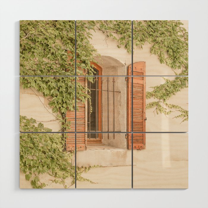 French Window Shutters Photo | Botanical Summer Art Print from Lyon | France Travel Photography Wood Wall Art Gallery Image 1