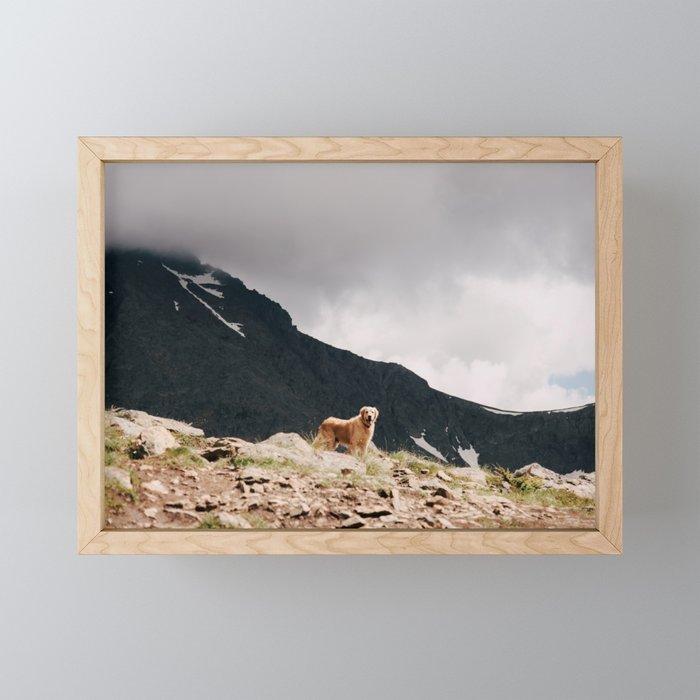 Golden Mini Art Print Gallery Image 1