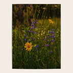 Front Range Flora Poster Gallery Image 4