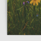 Front Range Flora Poster Gallery Image 3