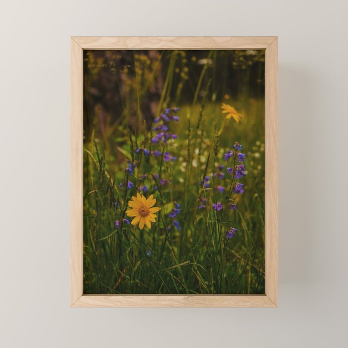 Front Range Flora Mini Art Print Gallery Image 1