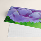 Pink and Blue Hydrangea Flower Color Variations Wrapping Paper Gallery Image 2