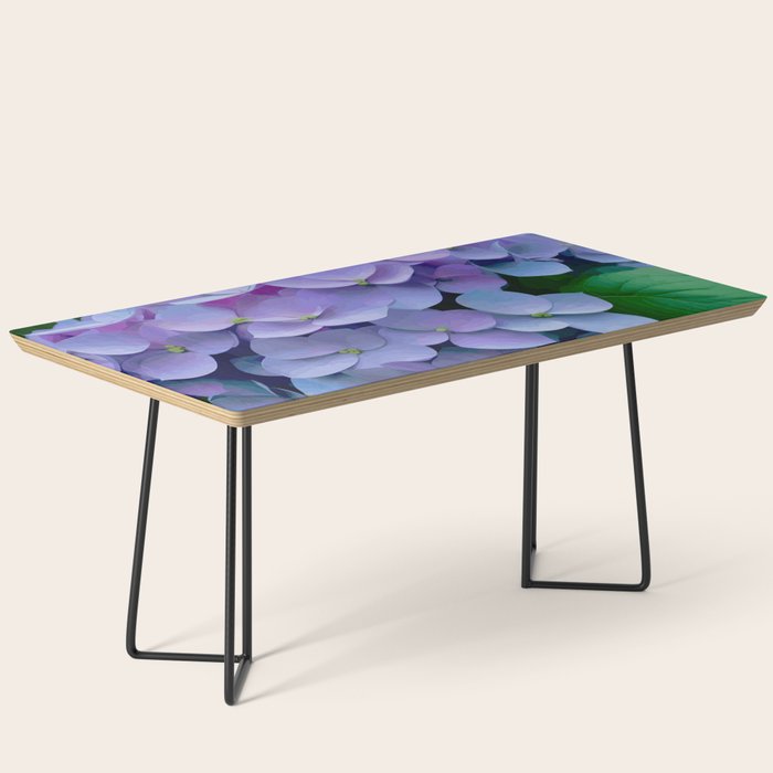 Pink and Blue Hydrangea Flower Color Variations Coffee Table Gallery Image 1