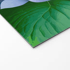 Pink and Blue Hydrangea Flower Color Variations Welcome Mat Gallery Image 2