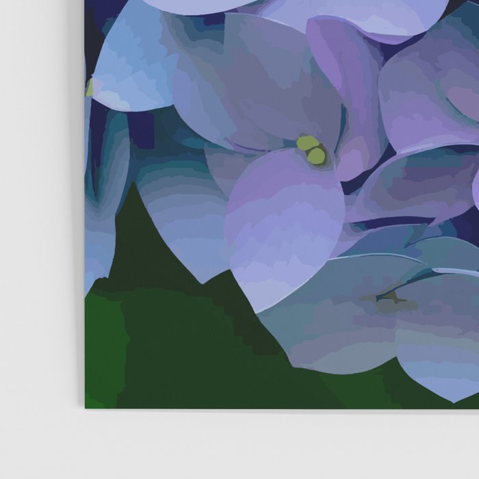 Pink and Blue Hydrangea Flower Color Variations Poster Gallery Image 3