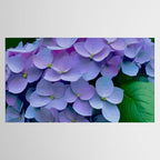 Pink and Blue Hydrangea Flower Color Variations Tablecloth Gallery Image 2