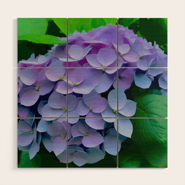 Pink and Blue Hydrangea Flower Color Variations Wood Wall Art Gallery Image 1