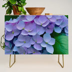 Pink and Blue Hydrangea Flower Color Variations Credenza Gallery Image 1