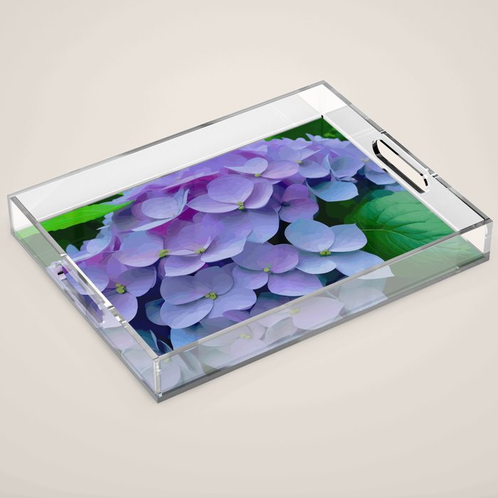 Pink and Blue Hydrangea Flower Color Variations Acrylic Tray Gallery Image 1