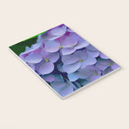 Pink and Blue Hydrangea Flower Color Variations Notebook Gallery Image 3