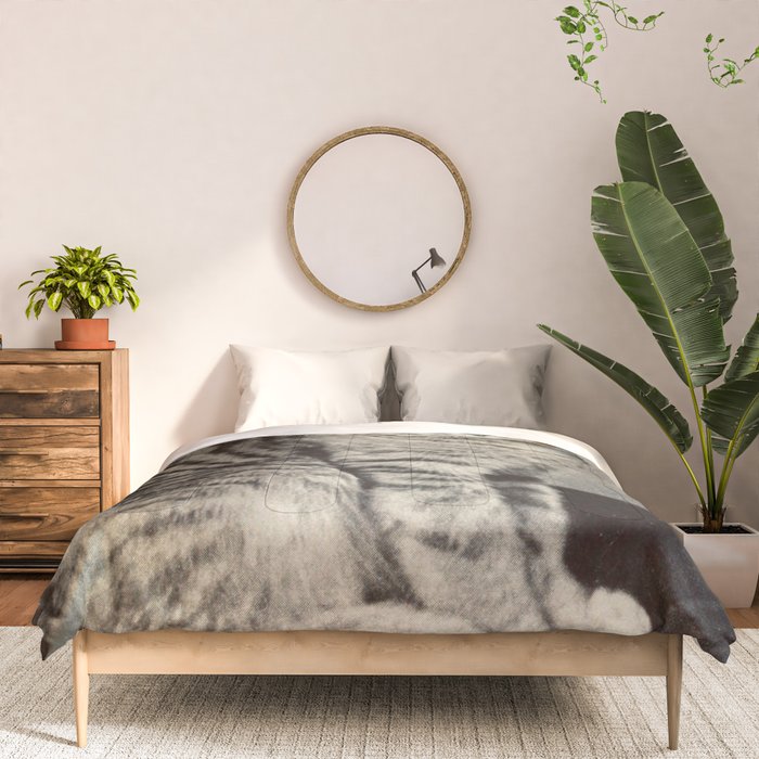 Holy Moly cat Comforter Gallery Image 3