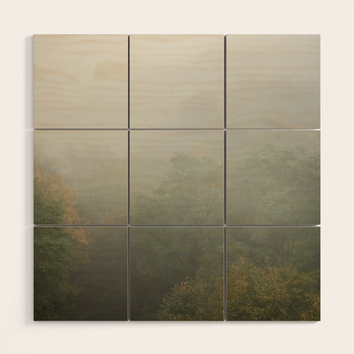Belgium Misty Forest Scene | Atmospheric Nature Photography Wood Wall Art Gallery Image 1