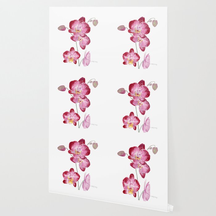 Orchid 2 Wallpaper Gallery Image 2