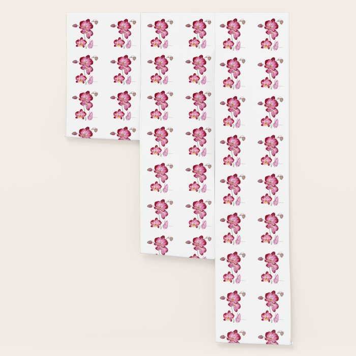 Orchid 2 Wallpaper Gallery Image 3