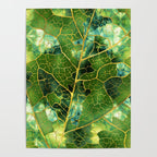 Green Marble Leaf Poster Gallery Image 4