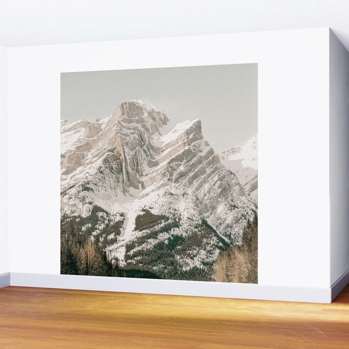 Colorado Mountain Wall Mural Gallery Image 2