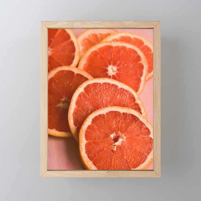 Grapefruit on Pink - still life floral photograph Mini Art Print Gallery Image 1