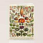 Adolphe Millot Legumes Plant Potageres Vintage Scientific Encyclopedia Illustration Lithograph  Stationery Card Gallery Image 2
